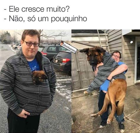 Ele Cresce Muito N O S Um Pouquinho Memes