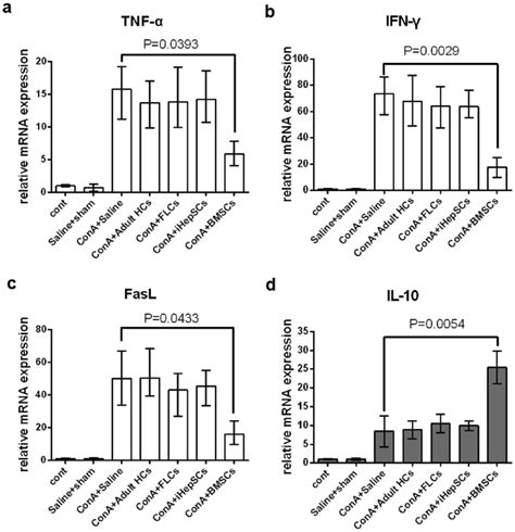 The Mrna Expressions Of Inflammation Associated Factors In The Livers