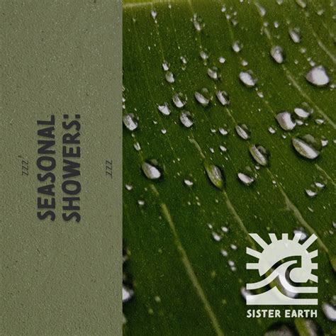 Zzz Seasonal Showers Rain In The Hillside Zzz Album By Deep Sleep