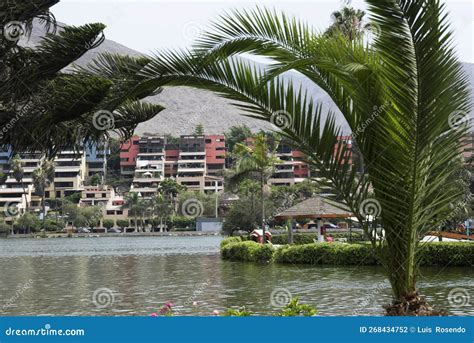 La Molina District of Lima Peru Stock Photo - Image of river, tropics ...