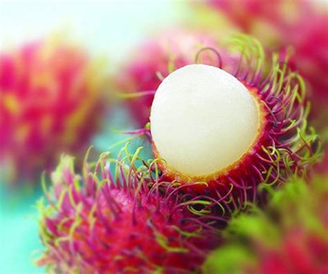 7 Unusual Fruits You Might Not Have Seen Before