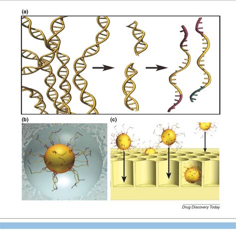 Figure 1 From Emerging Dna Sequencing Technologies For Human Genomic