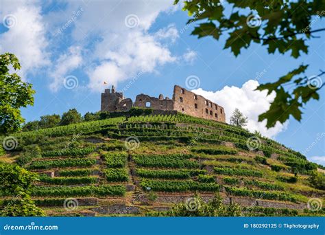 View Of The Ruins Of The Castle In Staufen Im Breisgau Surrounded By