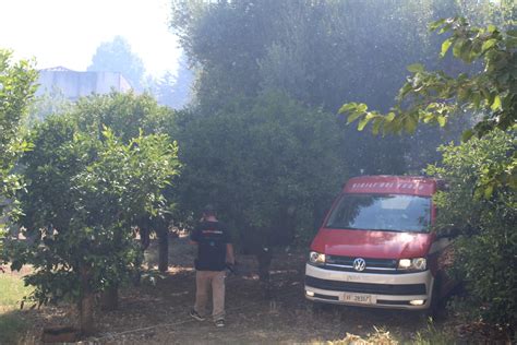 Palermo Bruciano Anche Le Montagne Sopra Corso Calatafimi Paura In