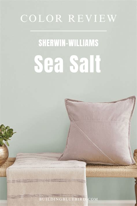 Sea Salt by Sherwin Williams (SW 6204) | Paint Color Review - Building ...