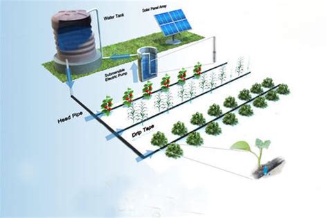 Solar Powered Irrigation