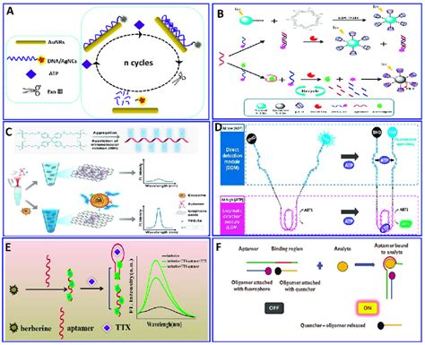 A Schematic Illustration Of The Atp Assay Via Quenching Of Dna Agncs