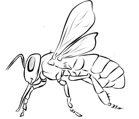 Dessins De Coloriage Abeille Imprimer Sur Laguerche Page