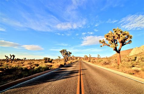 Make a Trip to the Mesmerizing Mojave Desert | KOA Camping Blog