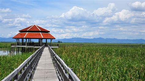 Wooden walkway to floating pavilion, Khao Sam Roi Yot National Park ...