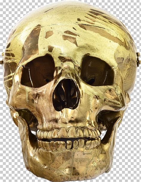 Skull Damien Hirst Schizophrenogenesis Artist Sculpture Png Clipart