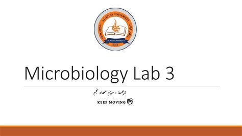 SOLUTION Lab 3 Samer Autosaved 1 Studypool