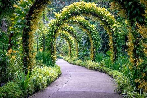 POW: Golden Arches in Singapore's Botanical Gardens - Find Away Photography 