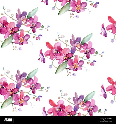 Pink Orchid Bouquet Floral Botanical Flower Watercolor Background