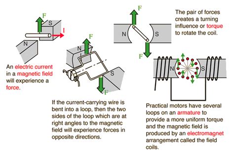 electric motor parts diagram field