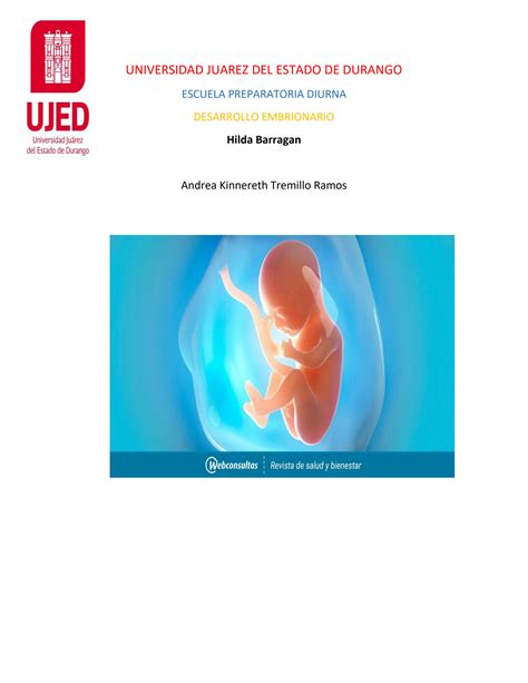 Solution Periodo Fetal Placenta Studypool