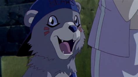 Bearmon | Digimon Frontier Wiki | FANDOM powered by Wikia