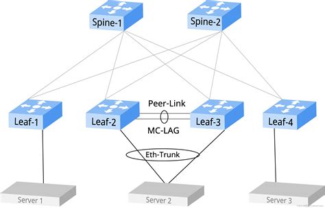 如何使用EVPN Multi Homing技术方案提高网络的高可用 multihoming功能 CSDN博客