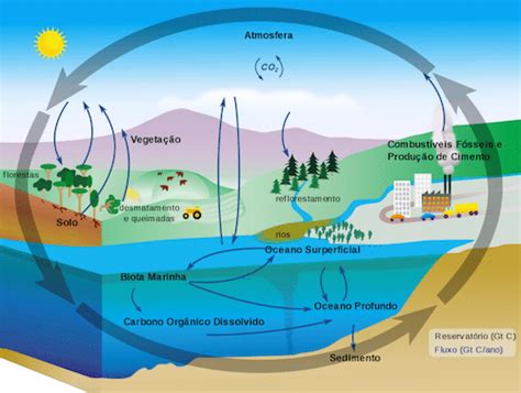 Entendendo Um Pouco Sobre O Dióxido De Carbono Co2 E Seus Impactos No Meio Ambiente Phvox