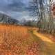 Hiking Trail at Wildcat Mountain State Park, Wisconsin image - Free stock photo - Public Domain ...