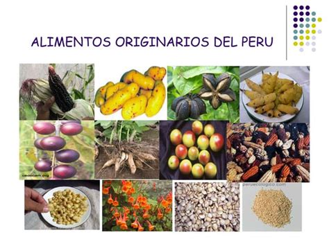 Alimentos Originarios Del Peru Ppt