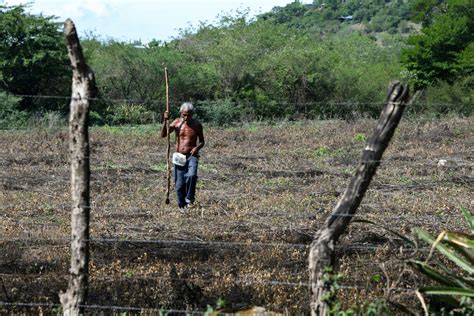 Cohep denuncia que 66 mil hectáreas de tierra están invadidas en