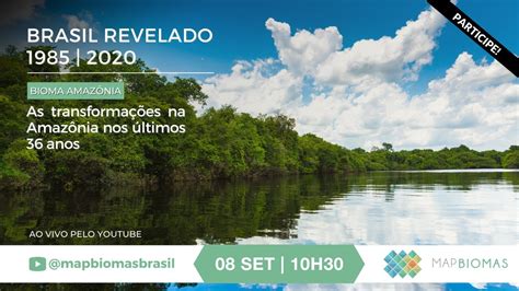 Brasil Revelado 1985 2020 As transformações na Amazônia nos últimos 36