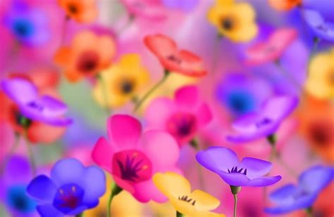 Hd Wallpaper Assorted Color Petaled Flowers Beside Trees And Pathway