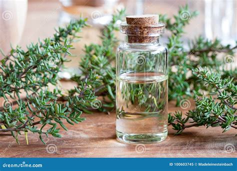 A Bottle Of Thyme Essential Oil With Fresh Thyme Twigs Stock Image