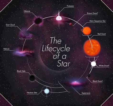 Stellar Evolution Space And Astronomy Astrophysics Astronomy