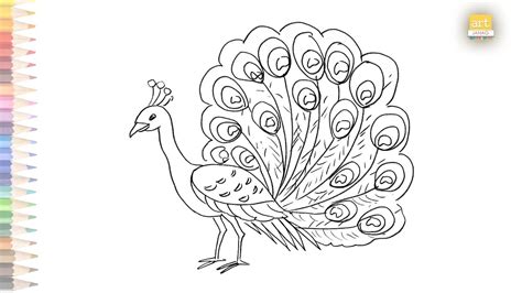 Beautiful Peacock Outline Sketch Easy How To Draw A Peacock Outline