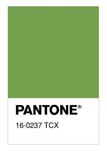 Colore Pantone Tcx Foliage Numerosamente It