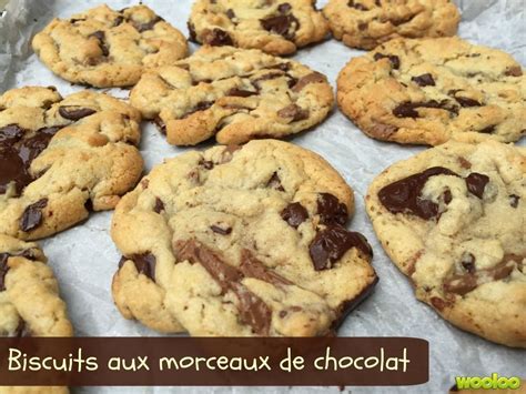 Meilleure Recette De Biscuits Aux Morceaux De Chocolat Wooloo