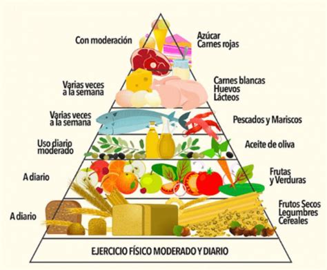 Calculando Las Raciones La Gu A Definitiva Para Una Alimentaci N