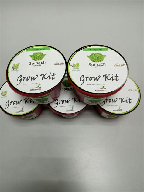 Singkamas Turnip Seedling Veggie Kit - Seedling Ph