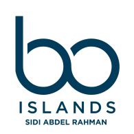 Bo Logo