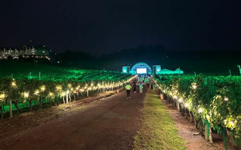 Natal nos Vinhedos da Serra Gaúcha