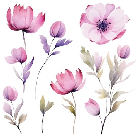 Vektor Aquarell Blumen Clipart Premium Vektor