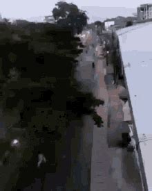 Harry Potter Gay GIFs Tenor