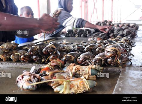 Port Moresby, Papua New Guinea. 5th July, 2024. Seafood are pictured at