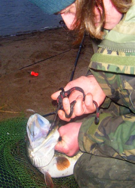 How To Unhook A Pike Safely Video Tutorial UK Predator Fishing Website