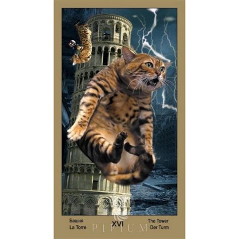 Таро Катавасия купить в интернет-магазине Пифиум