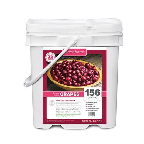 Freeze Dried Grapes Food Storage – Lindon Farms