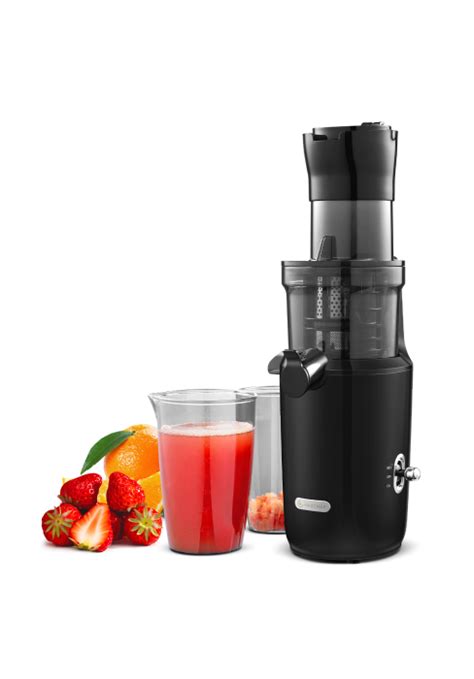 Amazon Amzchef Inch Self Feeding Masticating Juicer Fit Whole