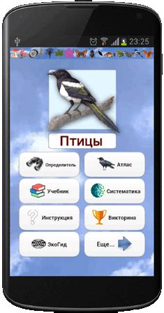 Приложение ЭкоГид Птицы: полевой определитель птиц, птичьих гнезд, яиц ...
