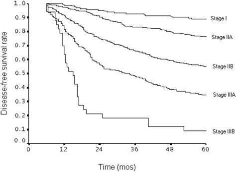 Prognostic Value Of The 2002 Tnm Classification For Breast Carcinoma