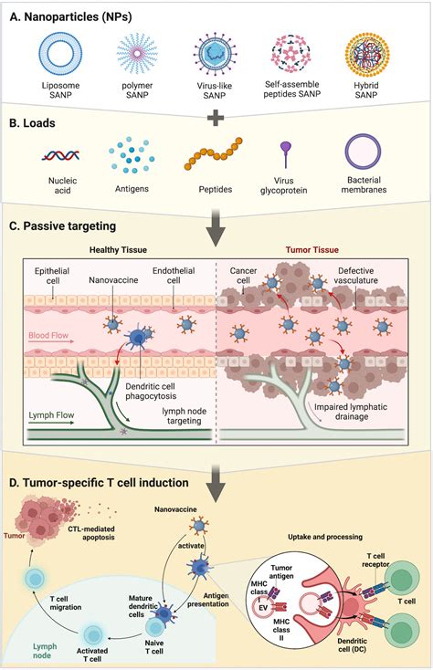 Frontiers Self Assembled Nanoparticles A New Platform For