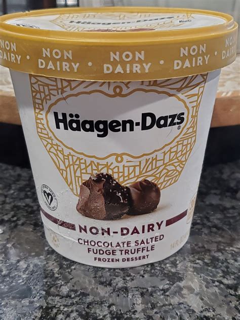 Haagen Dazs Non Dairy Chocolate Salted Fudge Truffle Frozen Dessert