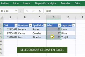 Seleccionar Celdas En Excel Tecpro Digital