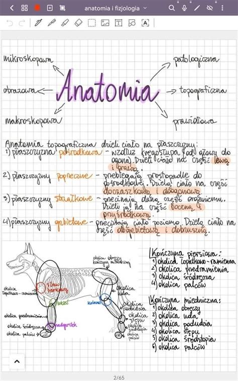 Notatki Anatomia I Fizjologia Zwierz T Technik Weterynarii Warszawa